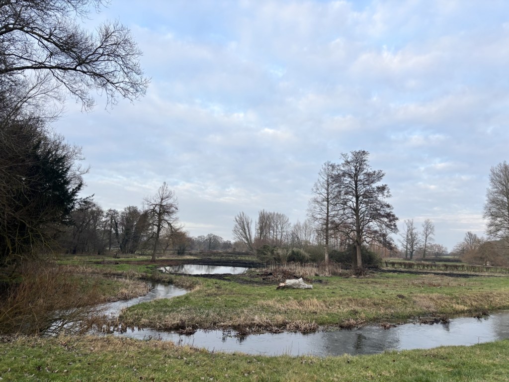 Member Insights: Bintry&nbsp;Mill